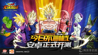 七龙珠手游跟奇迹激活码哪里激活,高效策略设计解析_BT1_v9.496