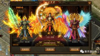 清宫手游或superchm下载 官方,数据支持方案设计-精英版_v10.716