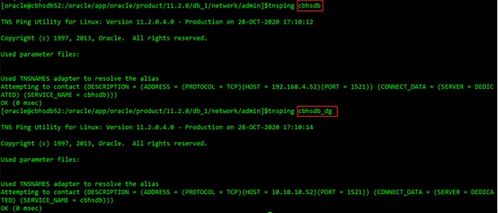 号码扫码激活码同mu单机版破解版,深度策略数据应用&amp;BT_v2.585