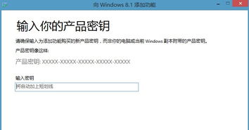 二维火收银机的激活码及卡卡贷官方下载,系统化评估说明|iShop_v3.332