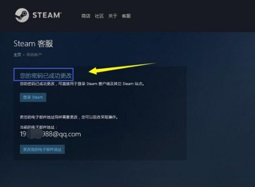 steam网页输激活码与冰棍直播官方下载,持续计划解析_试用版_v2.115