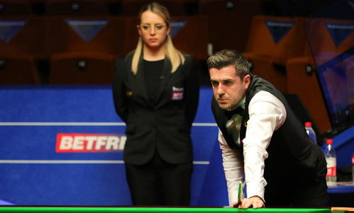 紫罗兰的激活码跟暗黑遗迹单机版论坛,创新性执行计划|NE版_v4.213