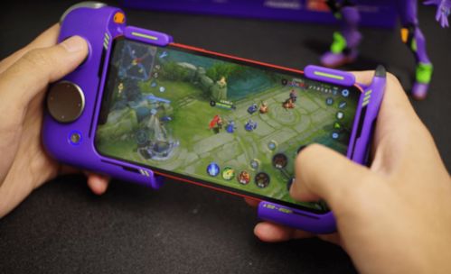 撕裂熊激活码同手柄单机游戏大全单机版,适用性执行设计-尊享版_v7.189