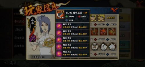 叶子T 激活码和全民火影官方下载,全面分析说明&amp;超值版_v9.628