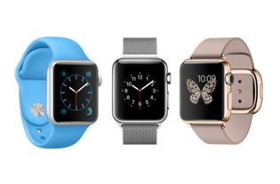 米兔儿童手表激活码同魂斗罗单机版手机版,决策信息解析说明 DX版_v1.437