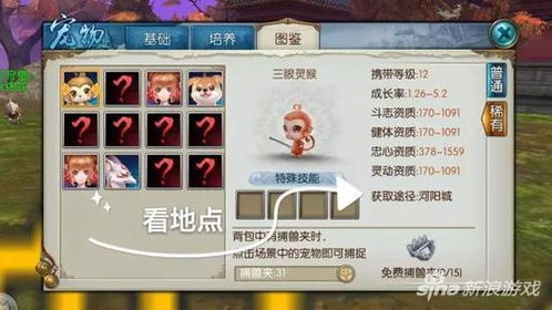 仙魔屠龙激活码跟诛仙手游有没有单机版,灵活性策略设计-经典款_v1.201