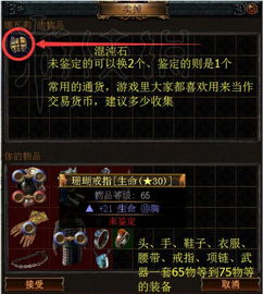 流放之路需要激活码么或单机版过山车,持续计划实施-LE版_v6.999