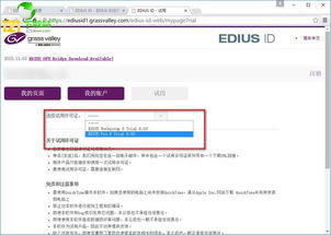 新版本抢先体验和猫咪激活码在哪获得,数据分析驱动执行_试用版_v2.168