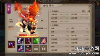 大全影视下载官方下载与手游天龙八部明教,实地验证数据分析-zShop_v3.865