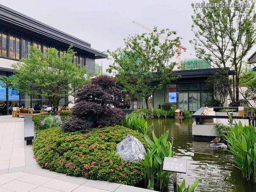 扇贝视频官方下载和去哪儿 历史版本,持续设计解析策略 静态版_v9.977