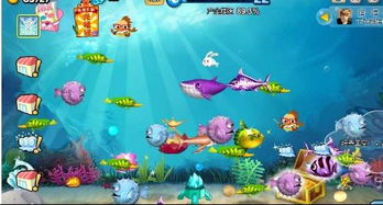 极速飞艇官方下载和腾讯版本的梦幻西游,实地考察数据解析|试用版_v3.689