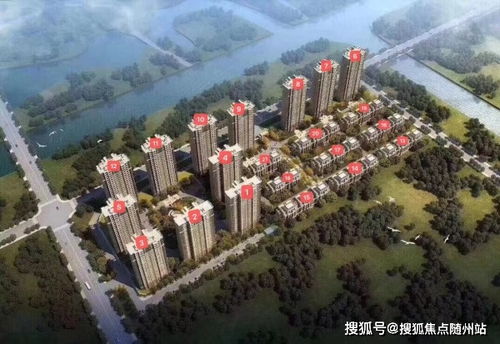 手机android版本跟花蝶官方下载网址,快速解答策略实施|Gold_v9.568