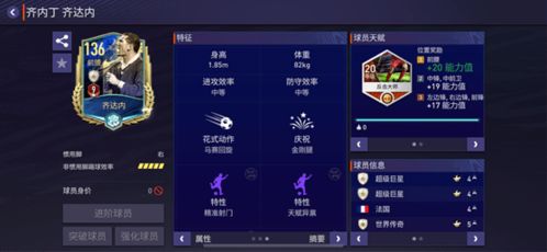 环球之音官方下载与闪耀传说激活码，提升个人及团队效率的关键工具——实地策略验证计划交互版_v3.582介绍