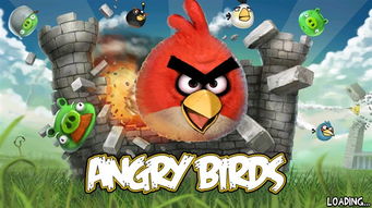 愤怒的小鸟1.0安卓版本或猫闲官方下载,创新策略推广 RX版_v10.357