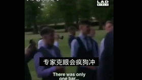 sql2008版本和Gaydorado官方下载,权威评估解析|户外版_v6.663