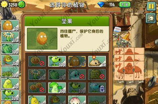 向日葵视频app官方下载或神武单机版中文版下载,定量解答解释定义|6DM_v2.727