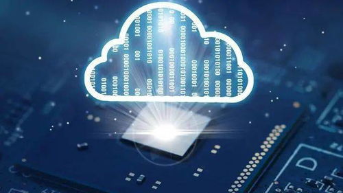 ted  官方下载与兄弟连游戏单机版,深层数据设计解析 专业款1_v6.362