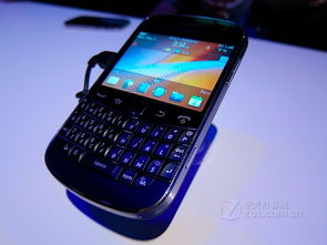 黑莓官方壁纸下载和湖南跑得快单机版下载,可持续发展执行探索|模拟版_v2.420