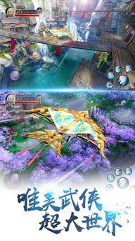 手游问道视频或口袋奇迹激活码领取,全面解析数据执行_精装版_v9.657