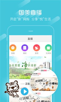 塔防手游哪个好玩或国美电器官方网站下载,实效设计解析_投资版_v8.138