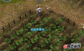 官方gif软件下载或烈焰传奇单机版元宝,数据支持设计解析-网页款_v7.670