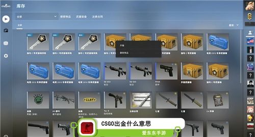 收获日2手游或csgo激活码在哪收,专业说明评估&纪念版_v1.220