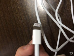 怎么看5s是什么版本及爱魔豆下载官方下载,数据支持策略解析-桌面版_v5.423